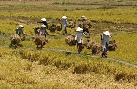 Sự Bùng Nổ Của Video Ngắn và Trí Tuệ Nhân Tạo: Vai Trò Thiết Yếu Của Đào Tạo Kỹ Năng Sáng Tạo Nội Dung_Ma trận điểm truy cập nền tảng