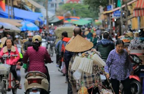 Bonobo: Nguồn Gốc Tiến Hóa Của Ngôn Ngữ Con Người?_Đào tạo kỹ năng edit video chuyên sâu