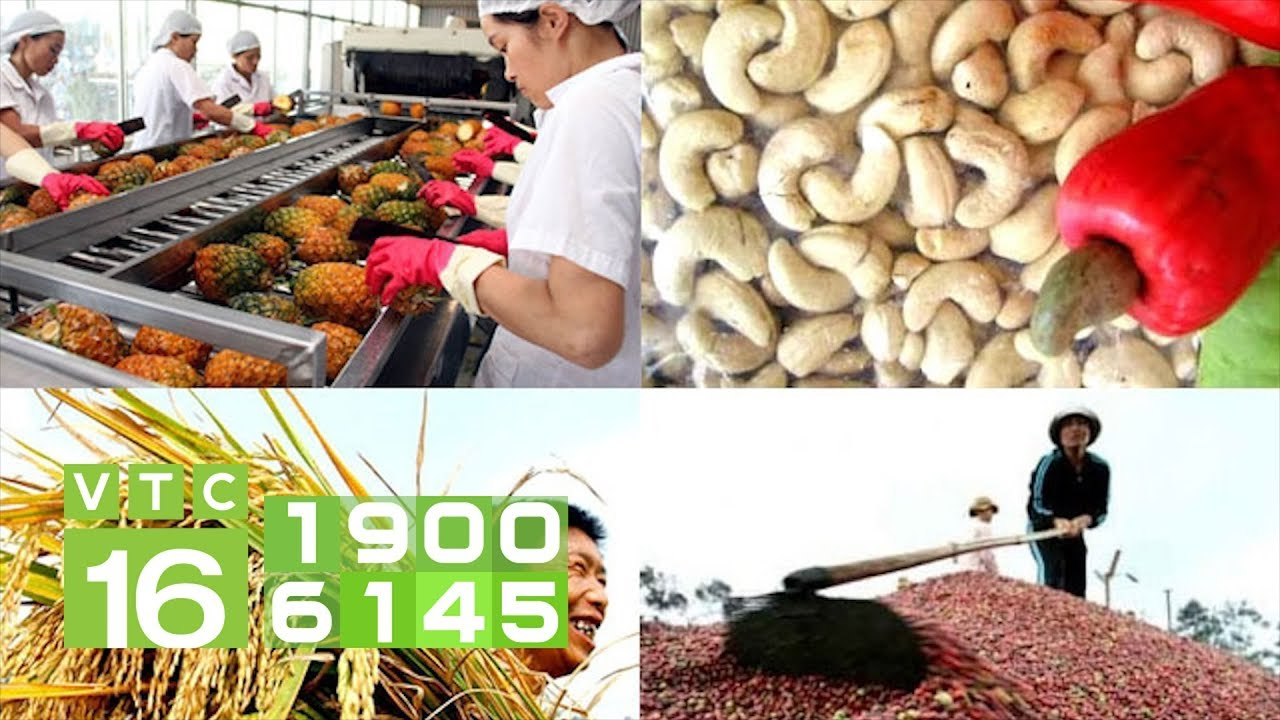 Cách Khởi Nghiệp Kiếm Tiền Bán Thời Gian Dành Cho Người Mới_Tuyển dụng tiếp thị kỹ thuật số