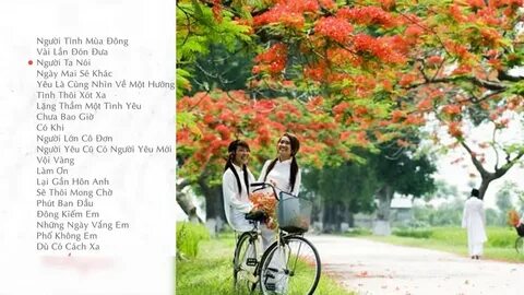 Hotspot Matrix - Giải Pháp Toàn Diện Cho Truyền Thông Số_Video ngắn YouTube Shorts