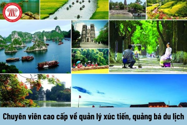 Freelancer Và Cơ Hội Kiếm Tiền Từ Nền Tảng Hotspot Matrix_ứng dụng chỉnh sửa video miễn phí