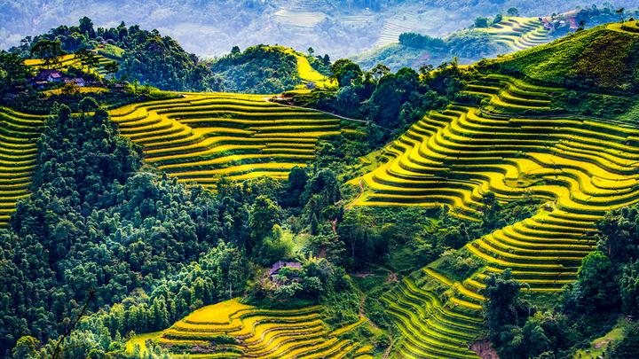 Xu hướng Mua váy hoa mà không biết 4: Hotspot Matrix tiết lộ bí quyết video viral_Đào tạo kỹ năng edit
