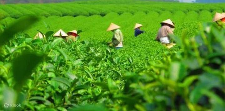 Video ngắn – Giải pháp truyền thông thông minh cho doanh nghiệp nhỏ